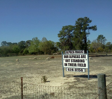 Alpaca Magic USA - Homosassa, FL