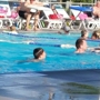 Catalina Club Pool Line