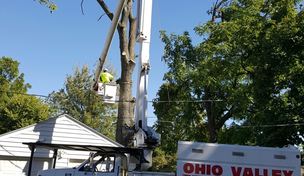 Ohio Valley Tree Experts LLC - Dayton, OH