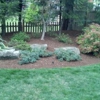 Precision Cut Landscaping & Design gallery