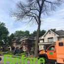Vasquez Treeservice - Stump Removal & Grinding