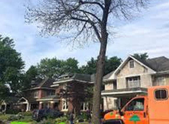 Vasquez Treeservice - Little Rock, AR