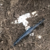 Arizona Irrigation Repair gallery