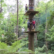 Gallery Image Number 2