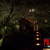 Patriot Landscape Lighting LLC gallery