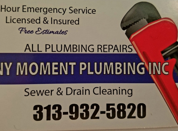 Any Moment Plumbing Inc - Lincoln Park, MI