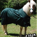 Horse Authority - Horse Equipment & Services