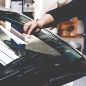 Gallery Image Number 5