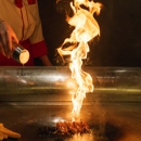 Shogun Japanese Steak & Sushi - Sushi Bars