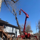 AAA Tree & Landscaping