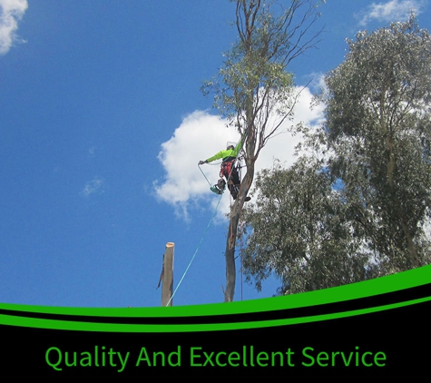 Bell's Tree Service - Oxley Vale, NSW. Quality & Excellent Services