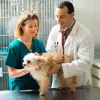 Washington County Veterinary Hospital - Howard Troob DVM gallery