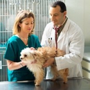 Washington County Veterinary Hospital - Howard Troob DVM - Pet Sitting & Exercising Services