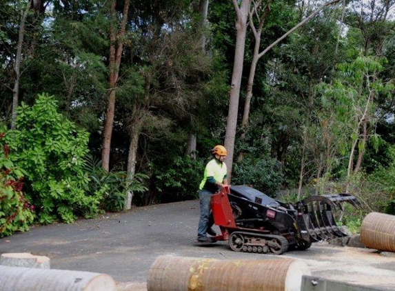 A Accurate Tree Services - Joyner, QLD