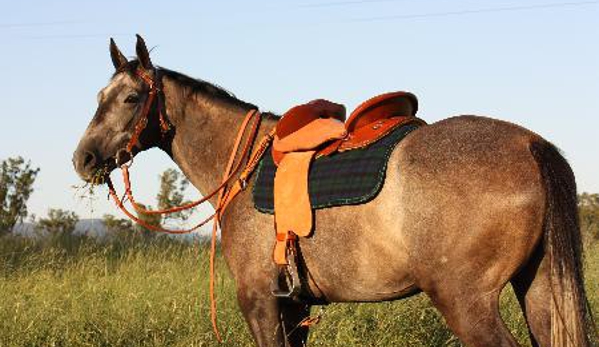 Marsh Carney Saddlery