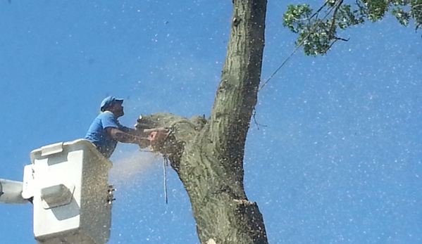 J.R.'s Tree Service - Rosedale, NY