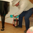 JitterBug Pest Control - Pest Control Services