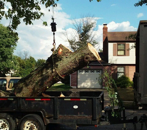 Cornerstone Tree Service - Medford, NJ