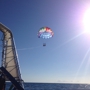 Hawaiian Parasail