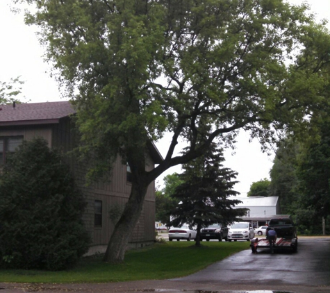 Kivisto West Tree Service LLC - Dassel, MN