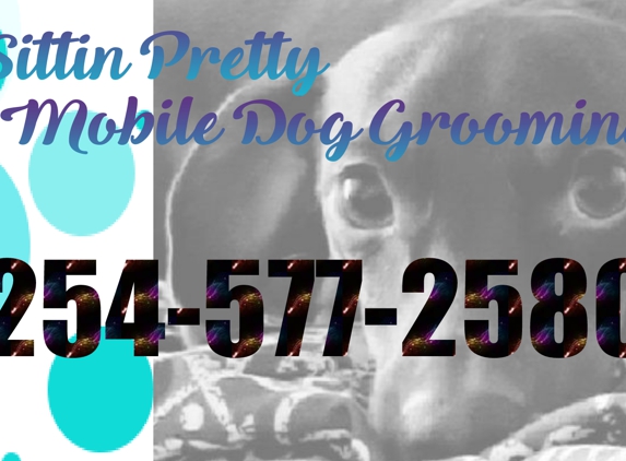 Sittin pretty mobile dog grooming - Killeen, TX