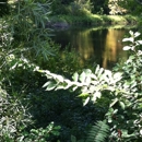 Moka Indian Trails Camp - Camps-Recreational