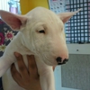 Exotic Tropical Pet World gallery