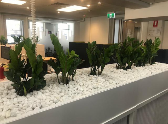 Greenfingers Indoor Plant Hire - Greenwith, SA