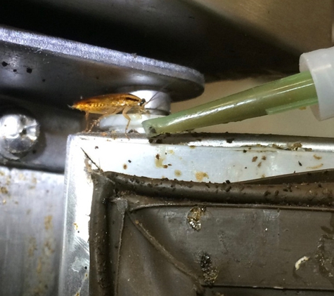 Evicta Pest Management