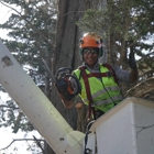 Tope's Tree Service