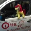 Otis Termite & Pest Control Service