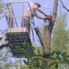 Greg's Tree Service gallery