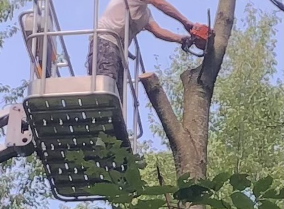 Greg's Tree Service