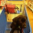 PetSmart