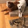 Wachusett Pet Care gallery