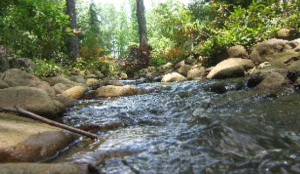 Dorriety Landscape - Collierville, TN. The leader in Creating the realistic recirculating stream