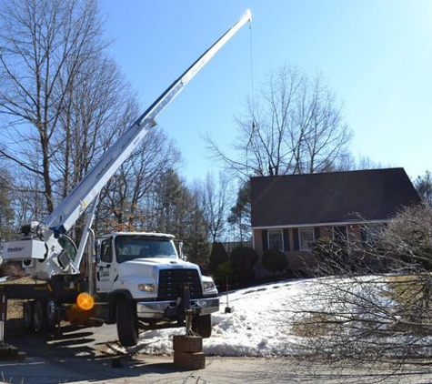 Burke's Tree Service - Rochester, NH