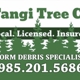 Tangi Tree