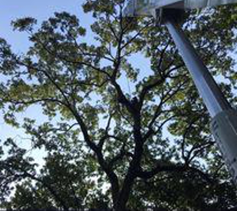 Aable John's Tree Service - Kennesaw, GA