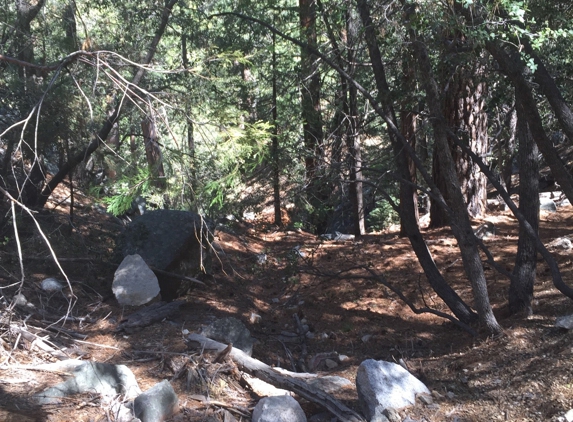 Ernie Maxwell Scenic Trail - Idyllwild, CA