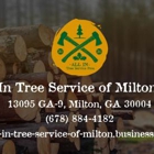All in Tree Service of Milton