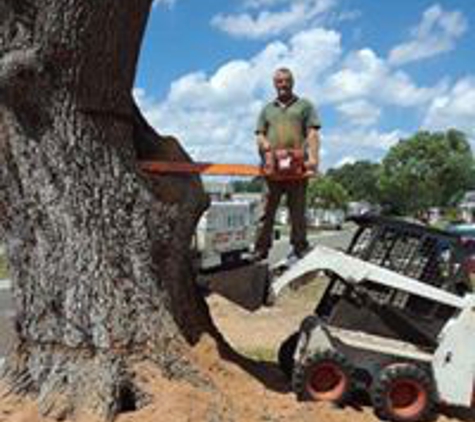 Ike's Tree Service - Zephyrhills, FL