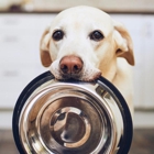 Petsense by Tractor Supply