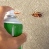 Mega Pest Inc gallery
