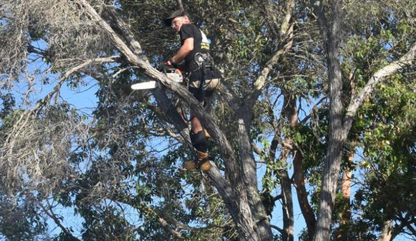 Cape Tree Service Mount Barker, Porongurup and Kendenup - Mount Barker, WA