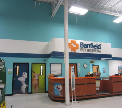 Banfield Pet Hospital - Northglenn, CO