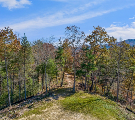 Tuxedo Falls - Zirconia, NC