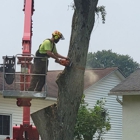 Hudson Tree Service