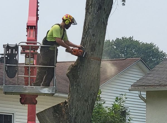 Hudson Tree Service - Enon Valley, PA