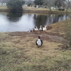 Elm Grove Cemetery